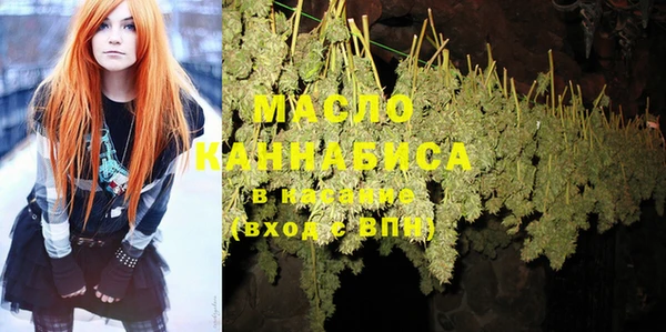 индика Мурманск