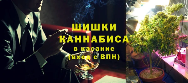 индика Мурманск