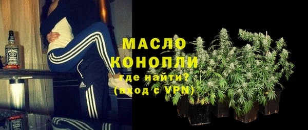 индика Мурманск