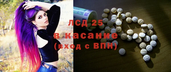 индика Мурманск