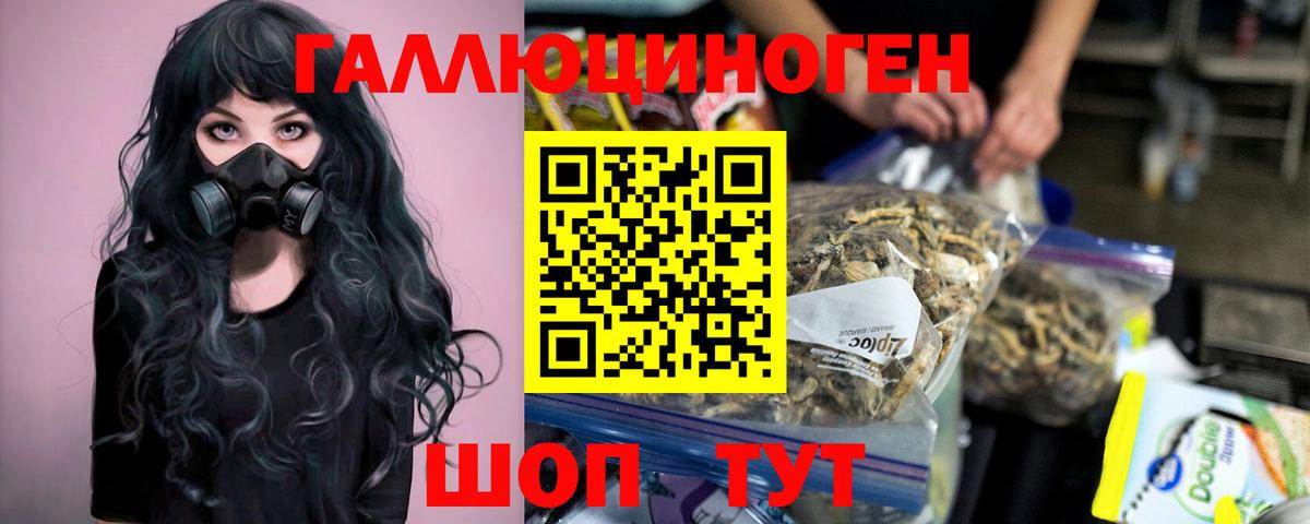 Алатырь  Галлюциногенные грибы Psilocybe  Вход с VPN 